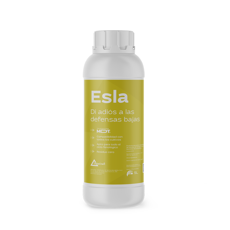 Esla Esla