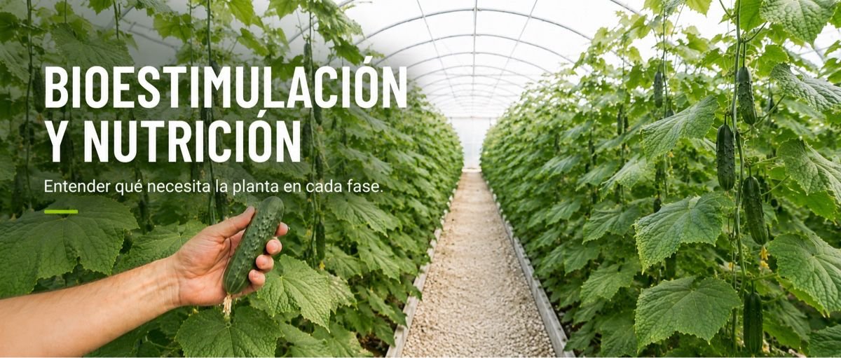 Diferencias entre bioestimulantes y fertilizantes y cuándo utilizar cada uno Diferencias entre bioestimulantes y fertilizantes y cuándo utilizar cada uno