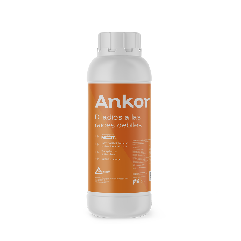 Ankor Ankor
