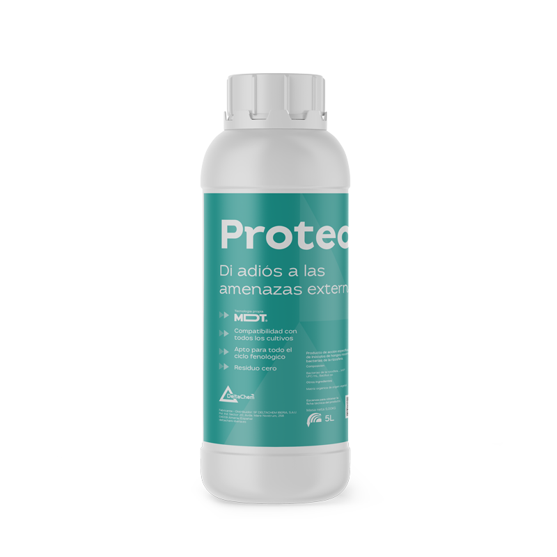 Proteo Proteo