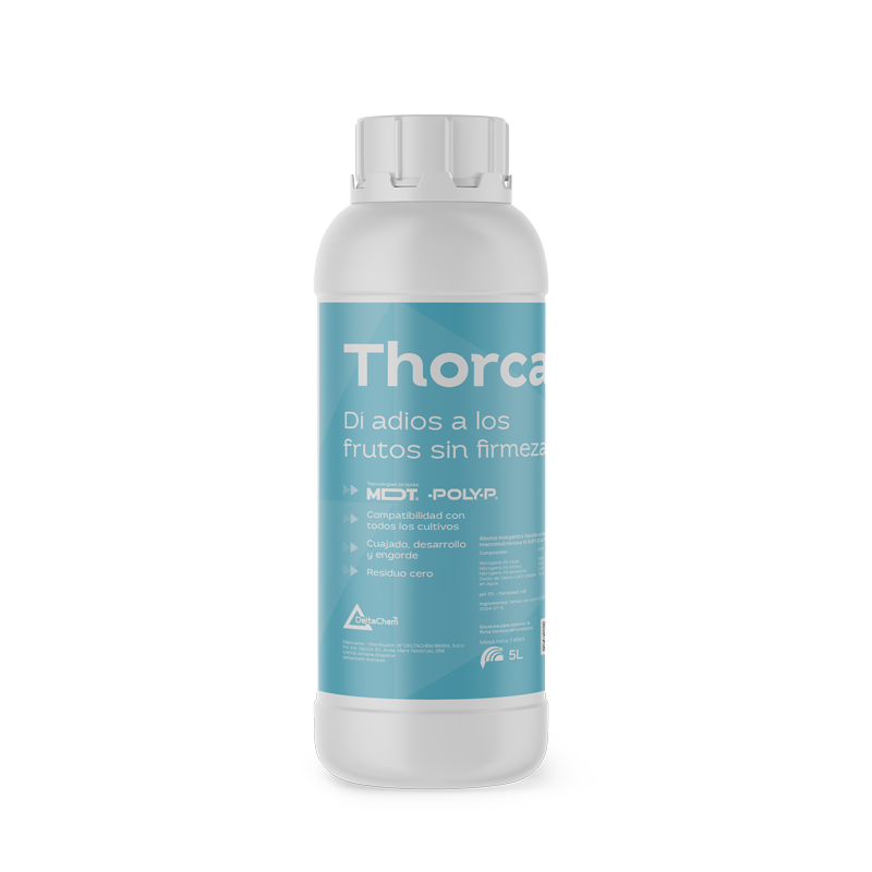 Thorcal Thorcal