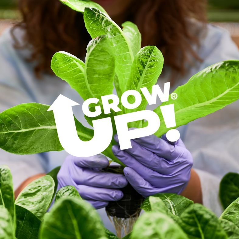 deltachem-iberia-tecnologias-avanzadas-grow-up